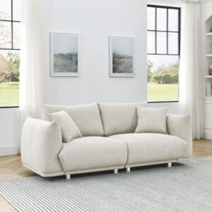 Modern Couch for Living Room Sofa